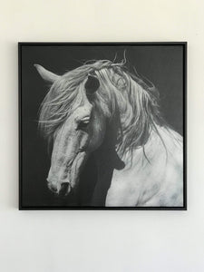 Black and White Horse Wall Art